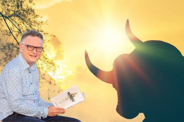 Cómo enfrentar y vencer al toro-problema