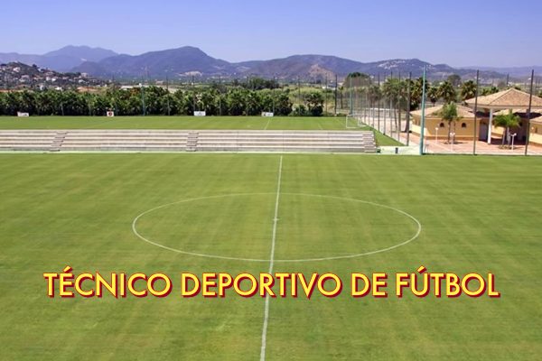 Técnico Deportivo de Fútbol