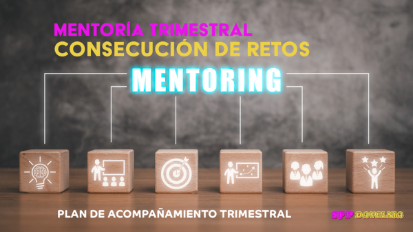 Mentoría Trimestral